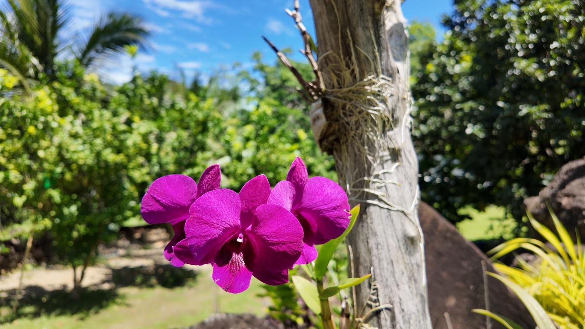 Tongatok Cliff Resort Mambajao Eksteriør bilde