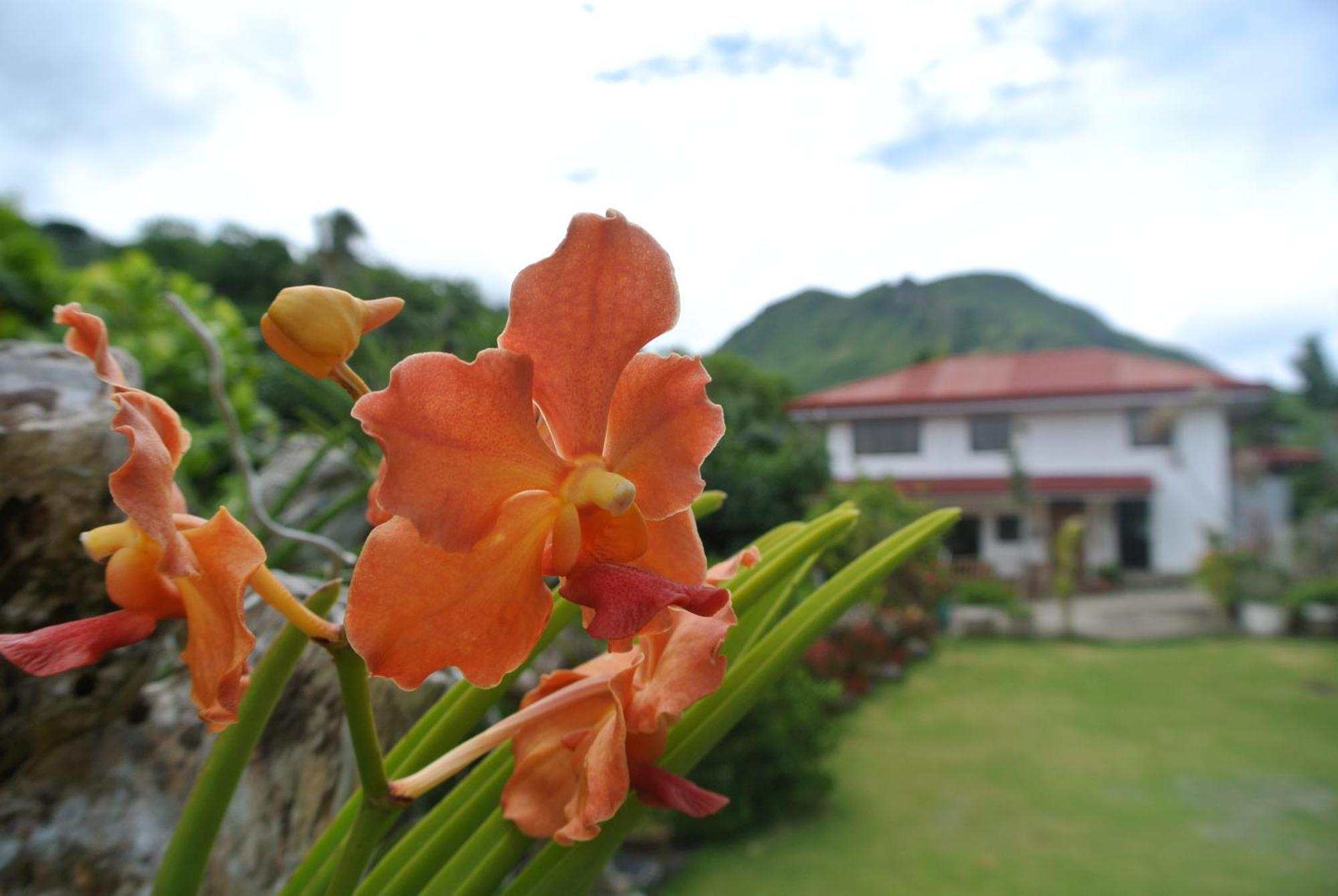 Tongatok Cliff Resort Mambajao Eksteriør bilde