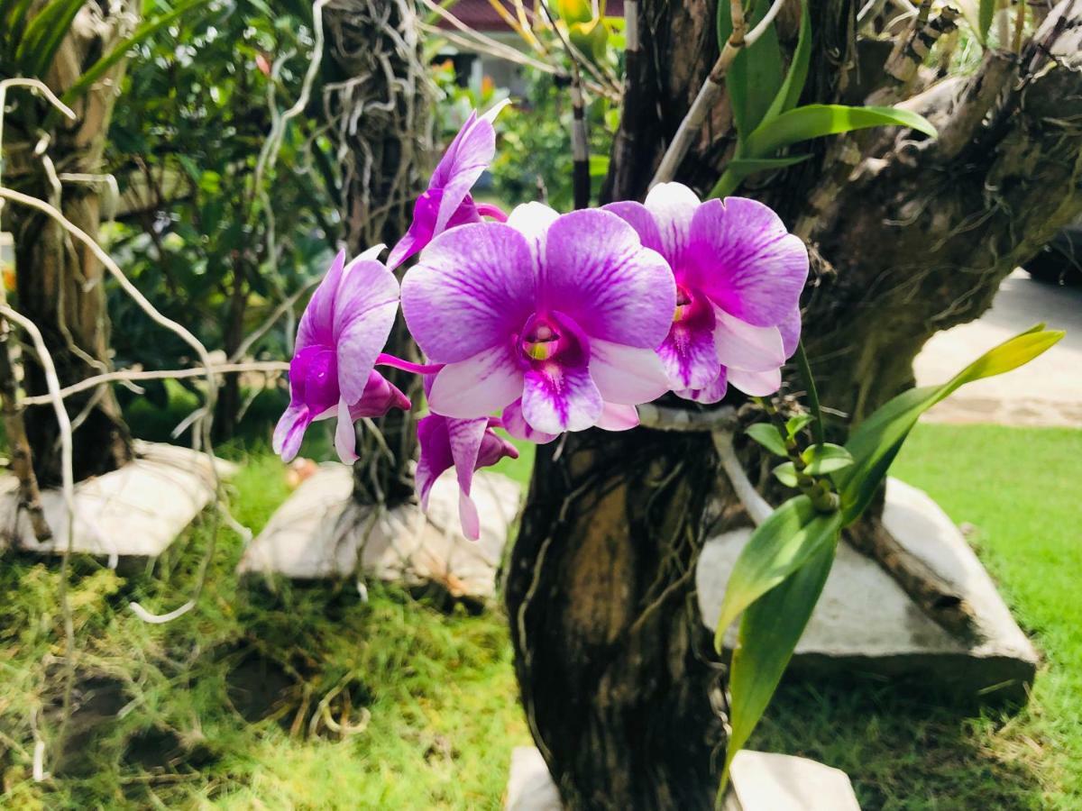 Tongatok Cliff Resort Mambajao Eksteriør bilde